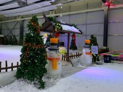 -宁波冰雪大世界(北仑区)