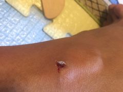 -爱侬家庭服务(望京分部)