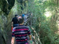 -石台牯牛降景区
