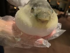 -肆月河豚·淮扬菜·湘菜(华天店)