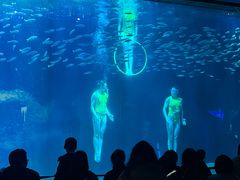 -海合安成都极地海洋公园
