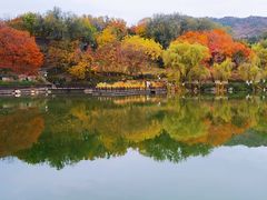 -北宫国家森林公园
