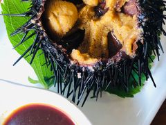 鲜海胆-喜来酌海鲜·饺子(和平一店)