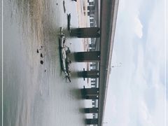 -海堤纪念公园