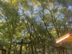 -WeLope紫金山探险公园