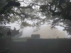 -普陀山风景区-佛顶山