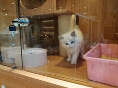 -Pets First伊珊娜洗护·精致美容·家庭式寄养(新会路店)
