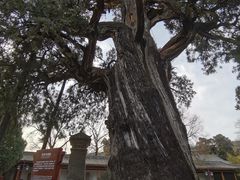 -黄帝陵