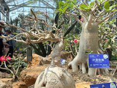 -国家植物园南园