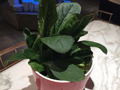 -捞神煲汤火锅(湖滨商业街店)