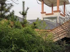 -徂徕山森林康养度假谷温泉