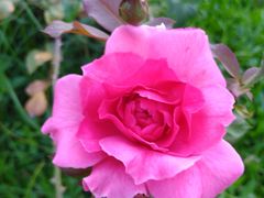 -人民公园(罗湖区)