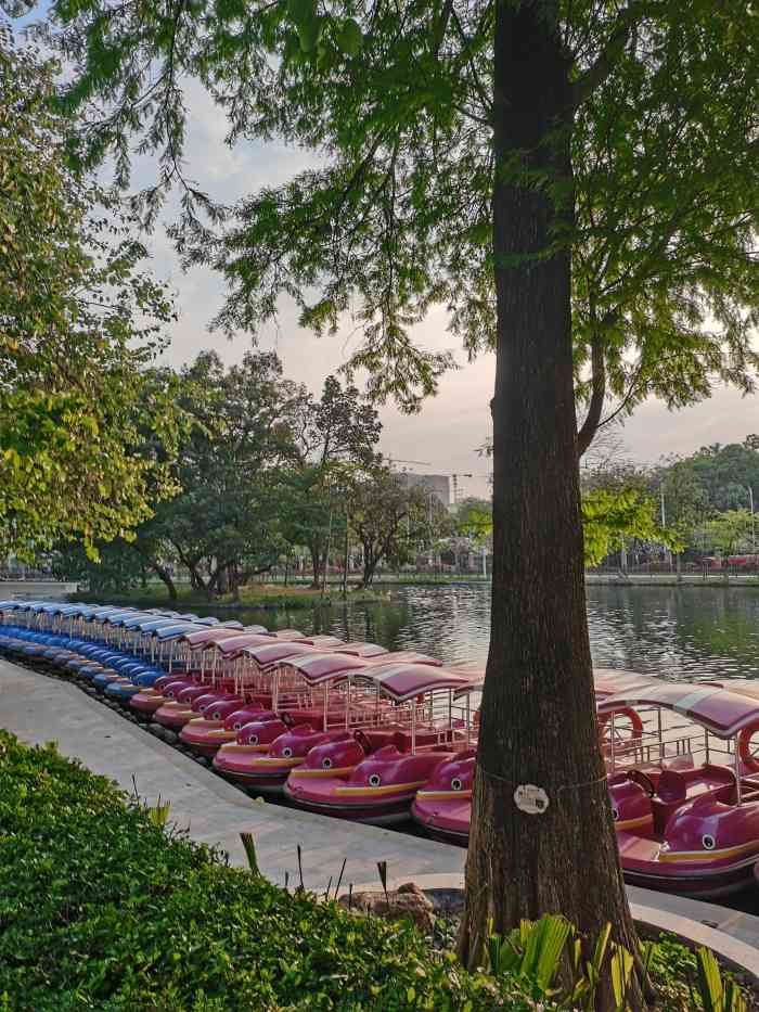 感覺公園很大公園裡面的五羊雕像很多人都是衝著它去的吧還有好幾個湖