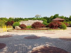 -嘉定紫藤园