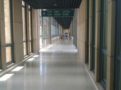 -上海市第六人民医院(临港院区)