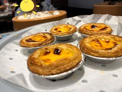 -龍歌自助小火锅(李沧顺和汇店)