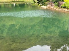 -黄公望隐居地