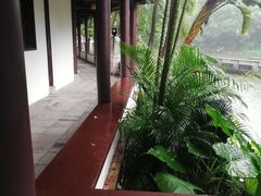 -深圳国际园林花卉博览园