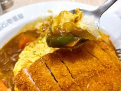 -CoCo壱番屋