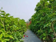 -那考河湿地公园