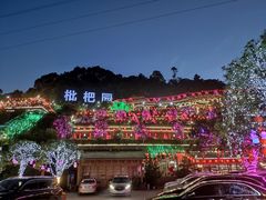 -枇杷园食为鲜火锅(南山店)