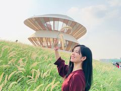 -光明小镇欢乐田园