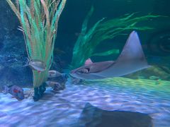 -沈阳海洋探索中心