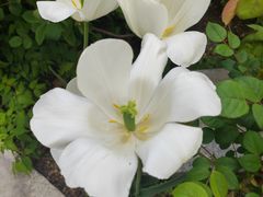 -三仟津花园咖啡馆