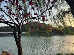 -河北省园博园