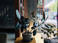-sugarman espresso素饮糖人高新咖啡工厂