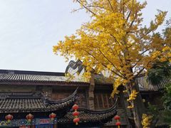 -龙潭水乡