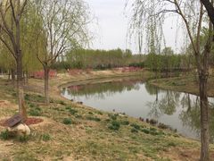 -东郊湿地公园