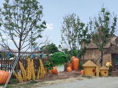 -光明小镇欢乐田园