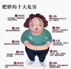 -苗塑堂减肥艾灸