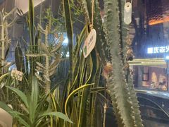 -隅乐胡椒虾·台湾菜·团建(皇岗店)