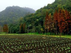 -贵阳市花溪国家城市湿地公园