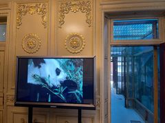 -北京动物园-畅观楼