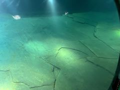 -白鹤梁水下博物馆