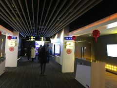 -奥斯卡升龙国际影城(RealD Cinema)