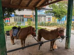 -萌宠亲子动物乐园(槐房万达店)