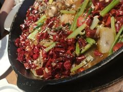 -老板恋上鱼(恒隆广场店)