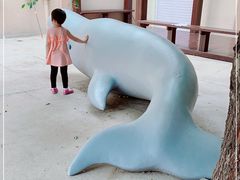 -贝壳王国博物馆
