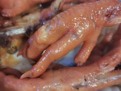 -浔蹄(南浔总店)