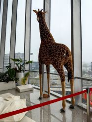 -IMON·HANSA潮玩玩偶毛绒玩具(通州万象汇店)