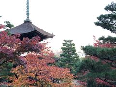 -常寂光寺