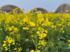 -中国天府农业博览园