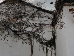-拙政园