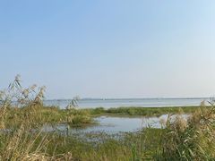 -七的湖·晚芳亭·阳澄湖农家菜·大闸蟹(莲花岛店)