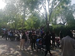 -辛玛王国游乐园