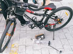-道路口单车爱瓦士dahon大行